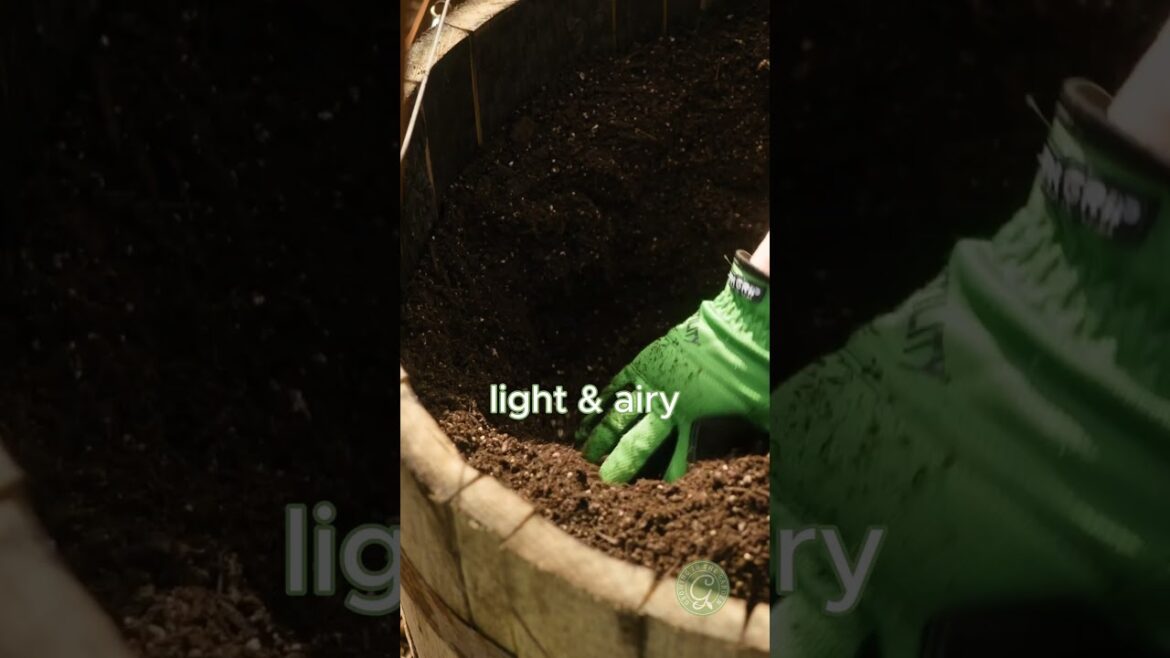 Best Soil for Containers #containergardening