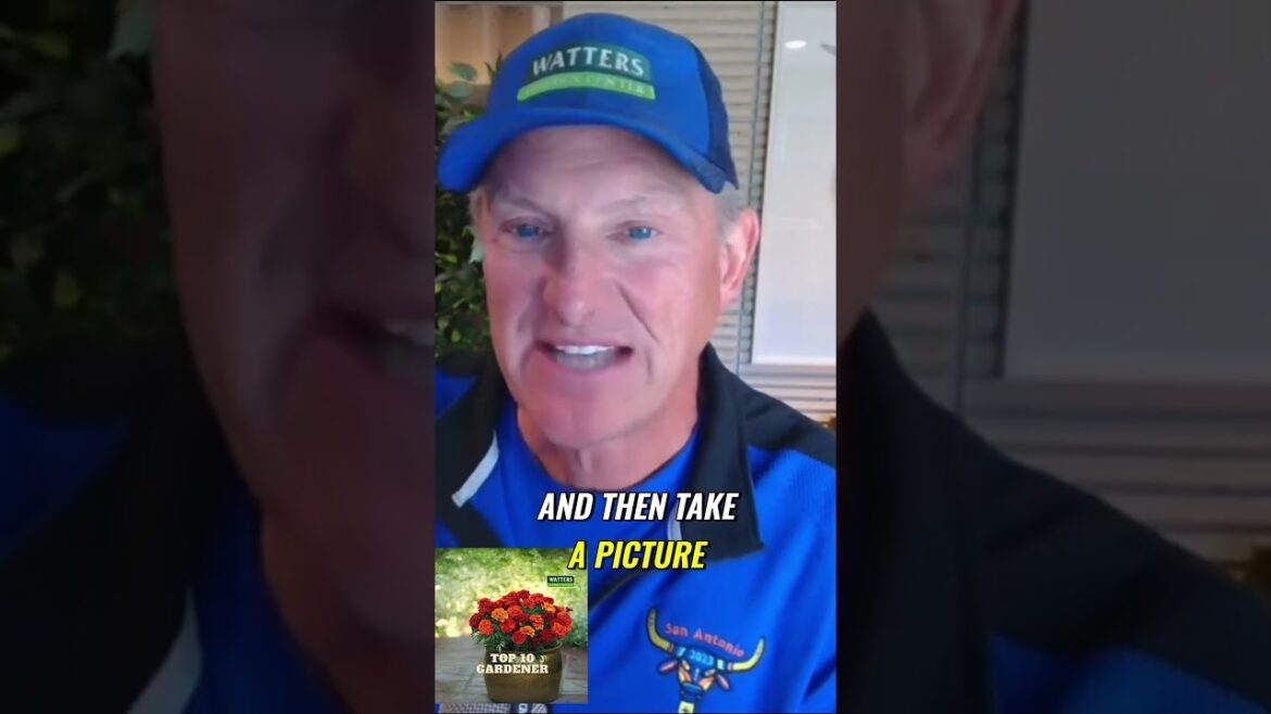 Transform Your Landscape with Designer Flair Transform Your Landscape with Designer Flair