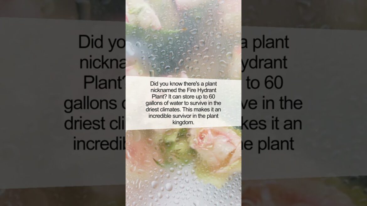 Discover the Marvelous Edible Fire Hydrant Plant