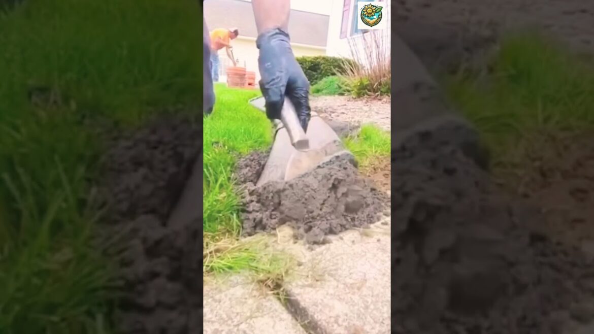 Garden tips #gardentips #shorts Garden tips #gardentips #shorts