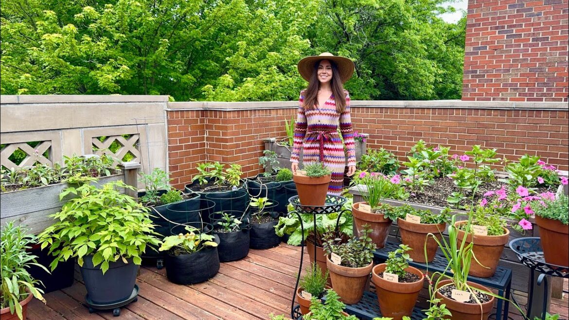 June Container Garden Tour! What’s Growing In My Front Deck Garden June Container Garden Tour! What's Growing In My Front Deck Garden