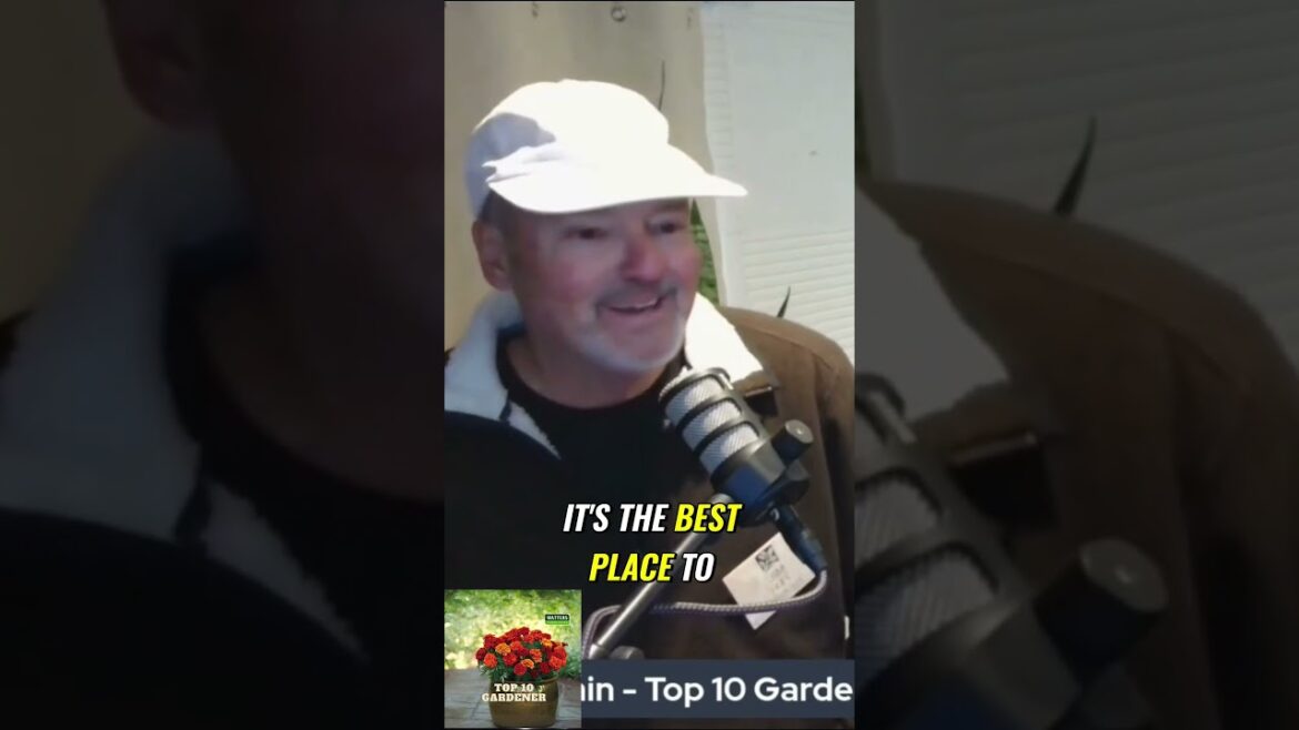 Why Prescott, Arizona is the Perfect Place to Grow Plants