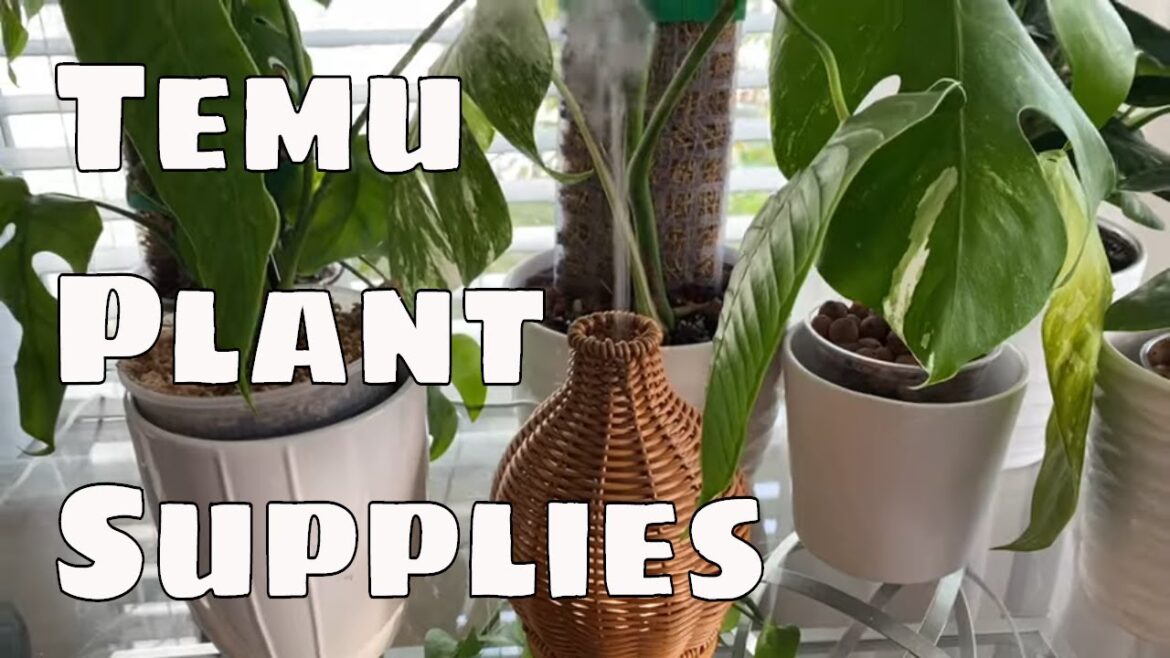 Temu House Plant & Garden Supply Unboxing 30% Discount  Moss Poles,  Moss and more