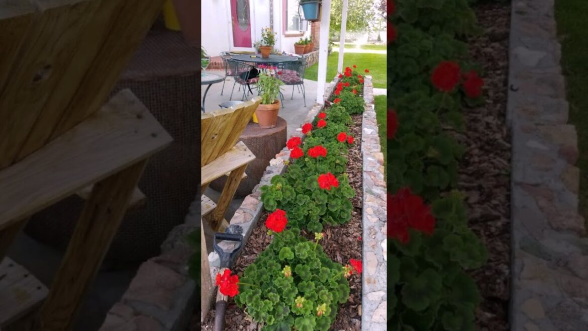 Unique backyard Garden Design ideas #myfirsthome