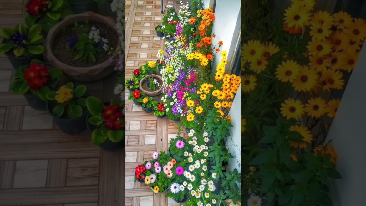 ldeas for small garden design | Small yard landscaping ideas ldeas for small garden design | Small yard landscaping ideas