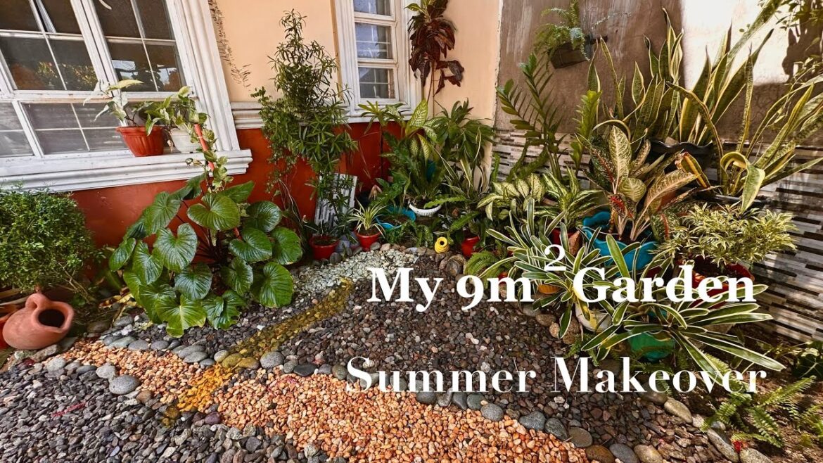 TINY FRONTYARD GARDEN INSPIRATION |REVIVING PLANTS| DAILY ROUTINES| STAY AT HOME MOM PRODUCTIVE DAYS TINY FRONTYARD GARDEN INSPIRATION |REVIVING PLANTS| DAILY ROUTINES| STAY AT HOME MOM PRODUCTIVE DAYS