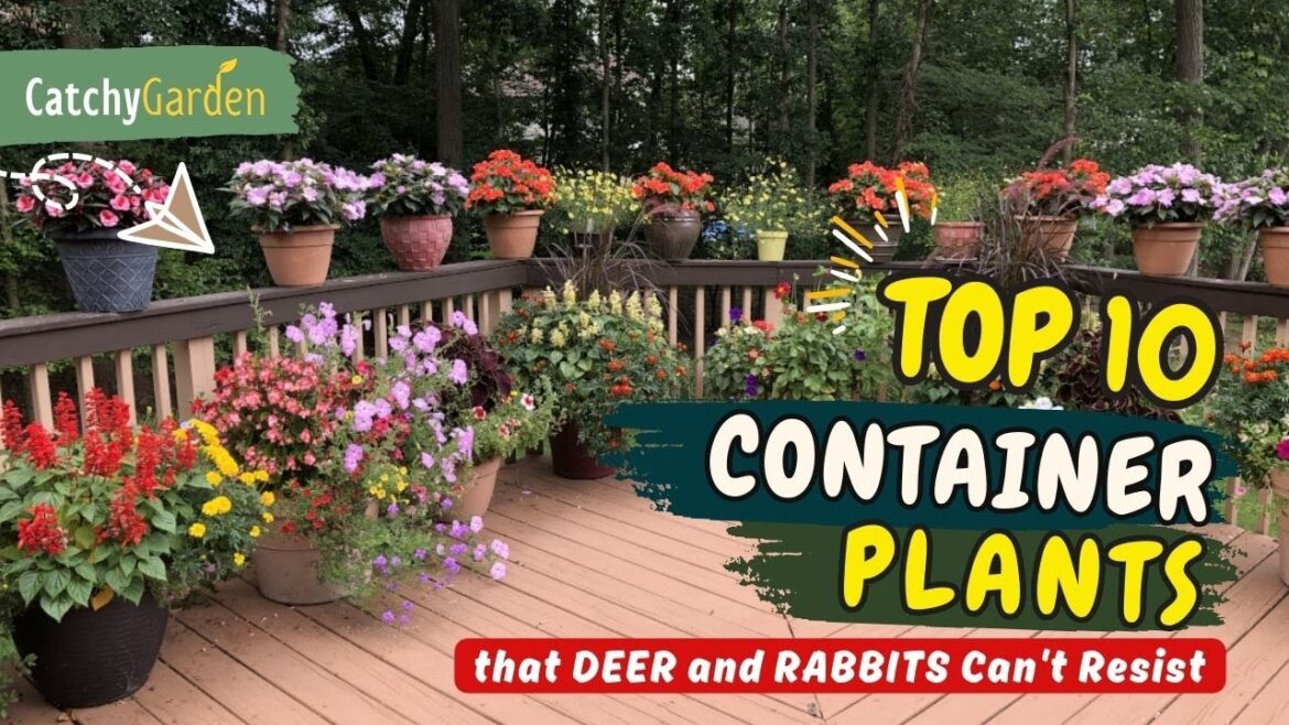 10 Container Plants that DEER and RABBITS Can’t Resist! πΏπ«π¦πΌ // Gardening Ideas 10 Container Plants that DEER and RABBITS Can't Resist! πΏπ«π¦πΌ // Gardening Ideas
