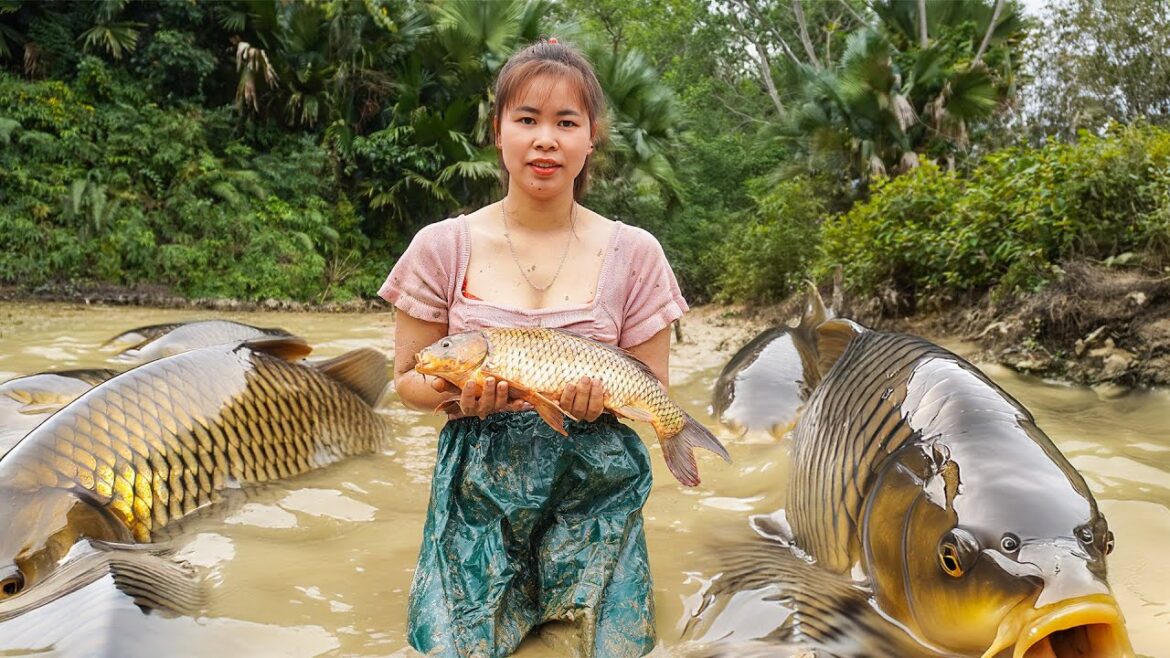 Harvest Fish Goes to market sell - Vegetable Gardening, Cooking, Family farm | Tieu Toan New Life