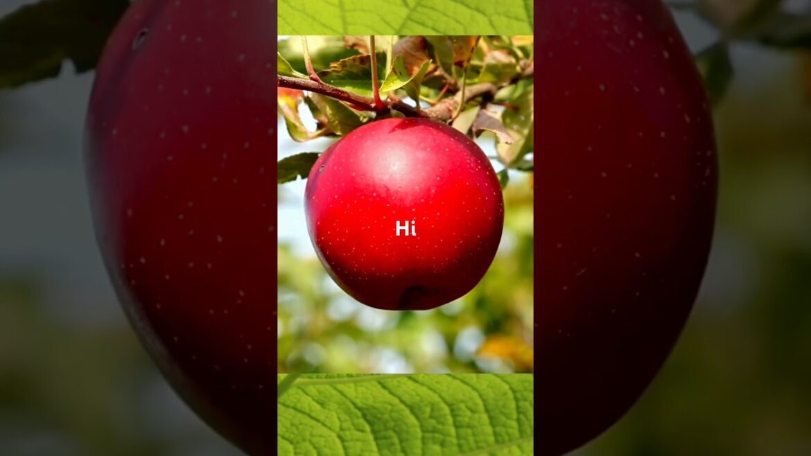 Short time cutting fruits 🍊🍋🍅in the garden #picking#fruit #shorts #293