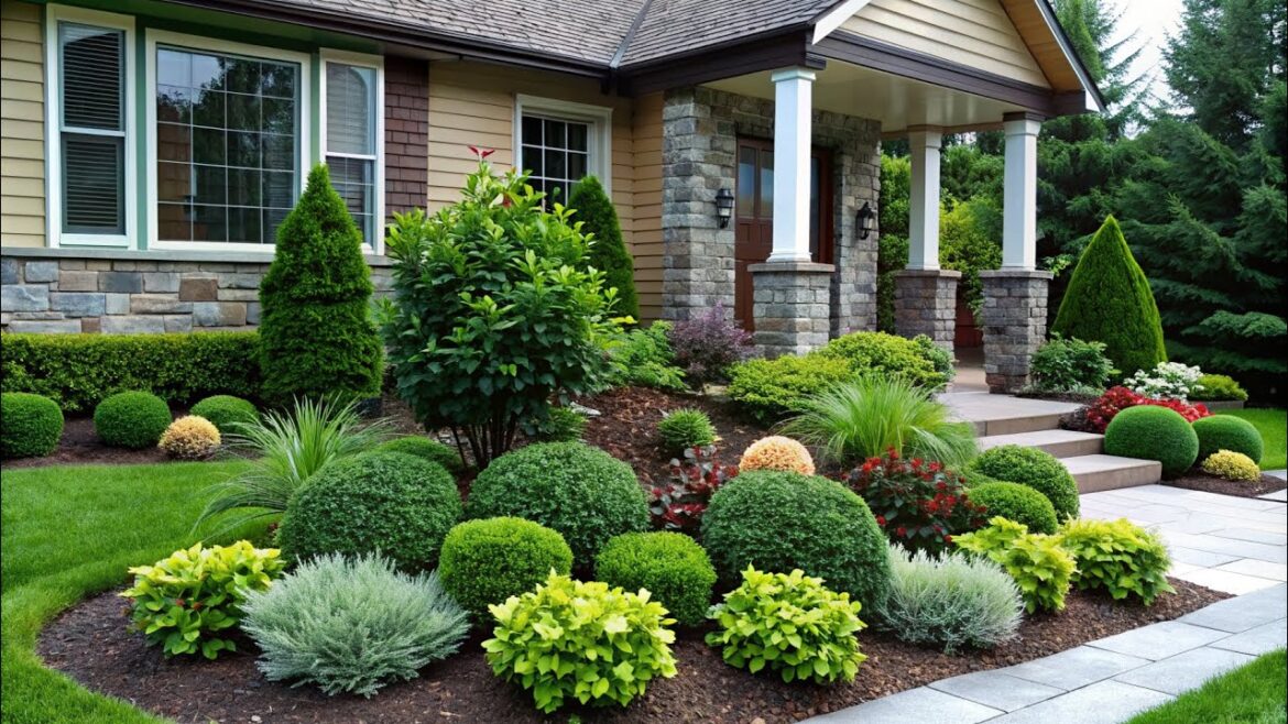Landscaping Plants for a Stunning Front Yard | Elevating Your Home’s First Impression Landscaping Plants for a Stunning Front Yard | Elevating Your Home's First Impression