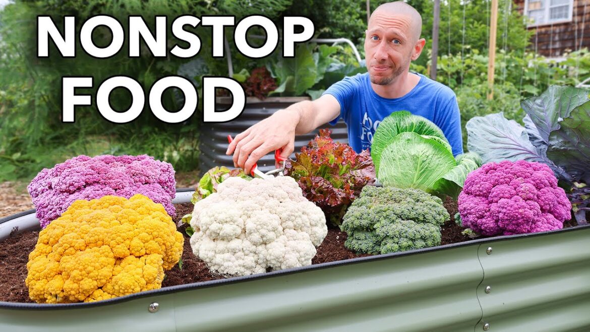 James Prigioni: How to Grow a Garden That NEVER Stops Producing How to Grow a Garden That NEVER Stops Producing