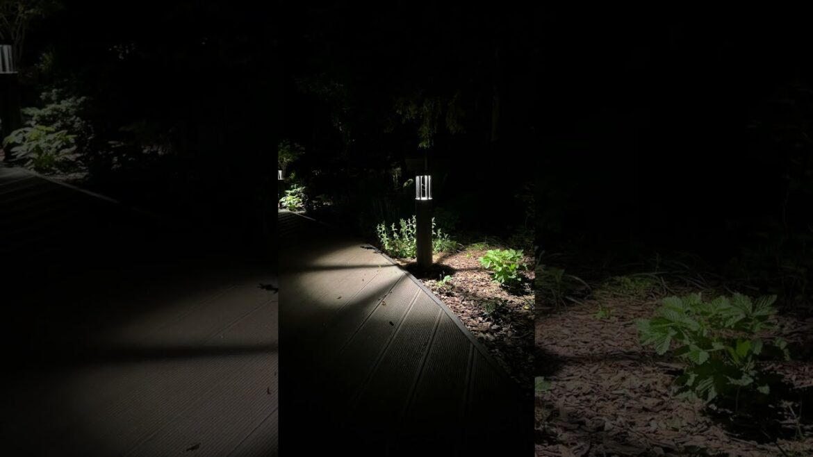 Видео создания сада по ссылке 👆контакты в описании (три точки справа наверху нажать) #сад