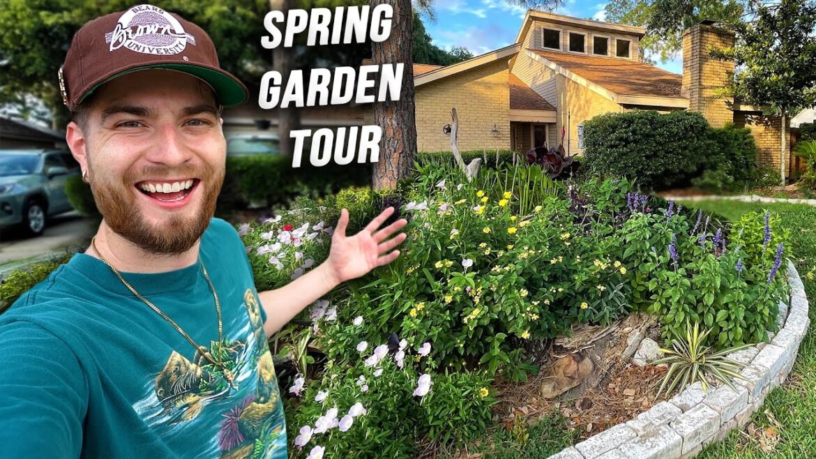 My 1 Year Front Yard Garden Tour & Pond Update! Native Plants Zone 9, Texas!