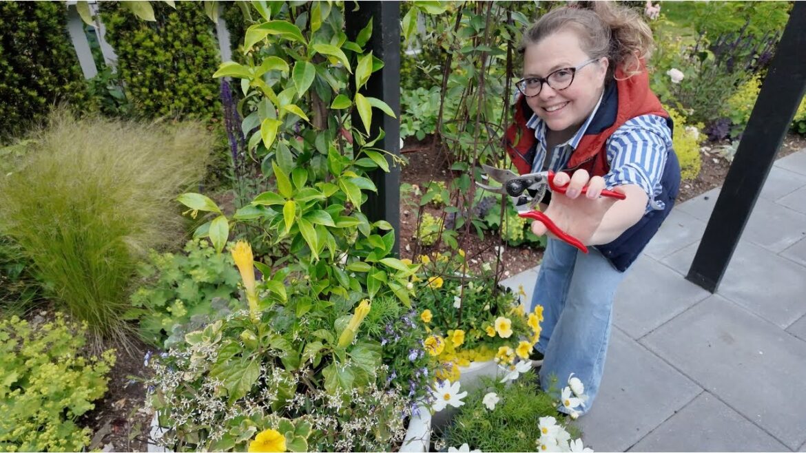 The Key to Bigger and Better Blooms | Container Maintenance Day 🌸