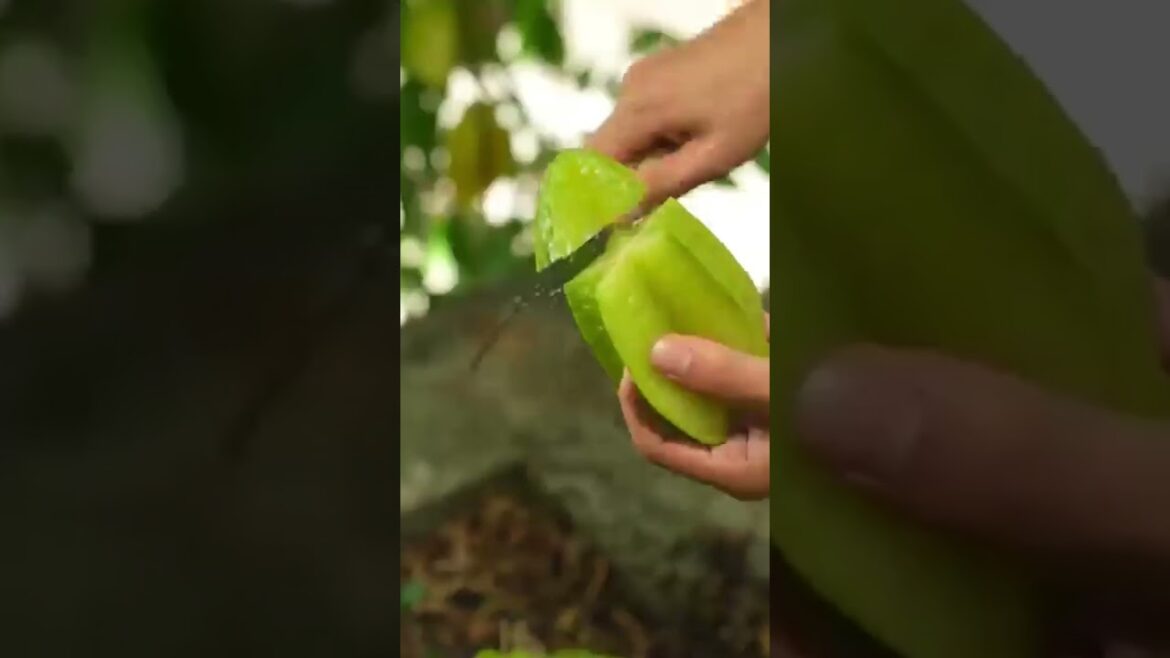 Star Fruit ASMR: Calm Your Mind