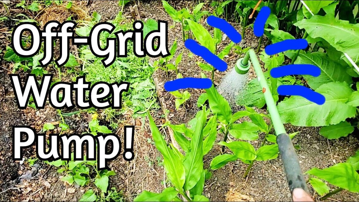 Off Grid Pump - Watering Upgrade!