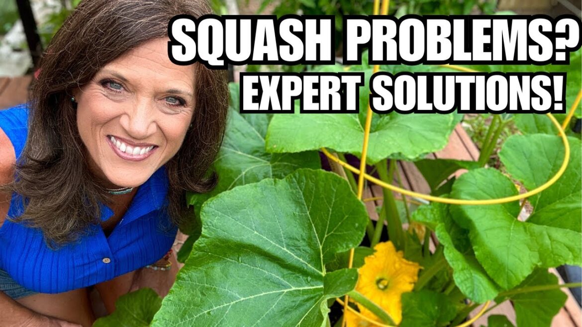 ☀️LIVE: Solutions to Squash Growing Problems