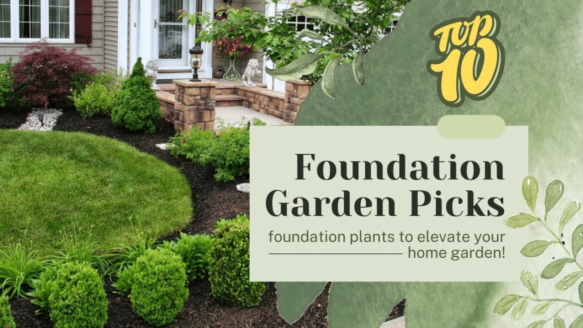 🌿 Top 10 Foundation Plants for Your Home Garden! 🏡 Landscaping Tips & Ideas 🌿 Top 10 Foundation Plants for Your Home Garden! 🏡 Landscaping Tips & Ideas