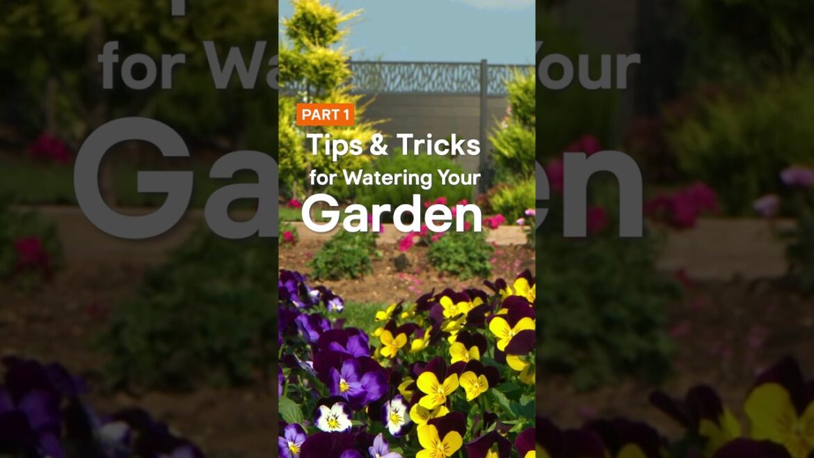 Become a gardening guru, Part 1: water-saving tips and tricks! ๐ฉโ๐พ๐ง #DIYtips #Howto #BandQ Become a gardening guru, Part 1: water-saving tips and tricks! ๐ฉโ๐พ๐ง #DIYtips #Howto #BandQ