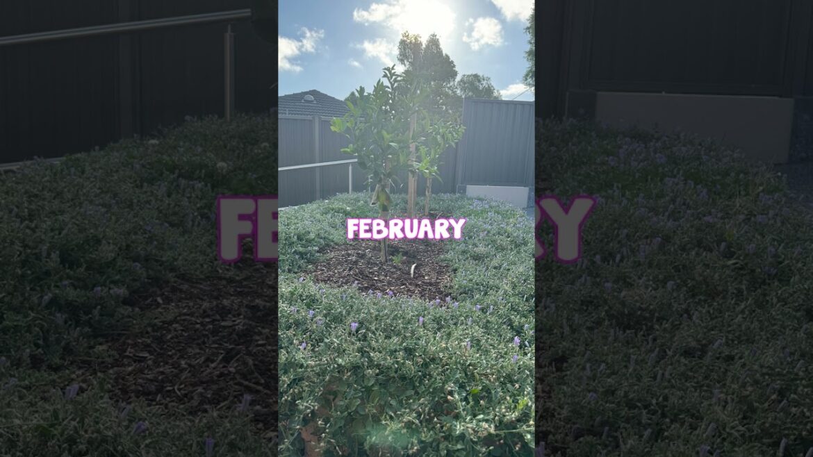 Check out the Incredible Changes in this Garden!😍🙌