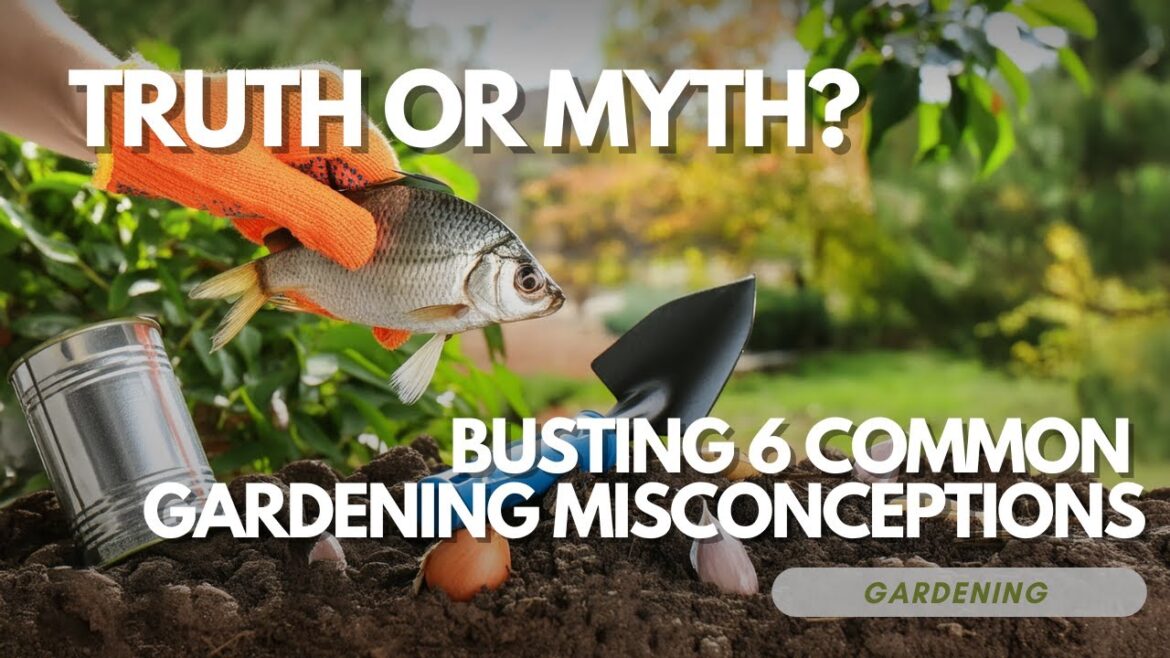 Truth or Myth? Busting 6 Common Gardening Misconceptions