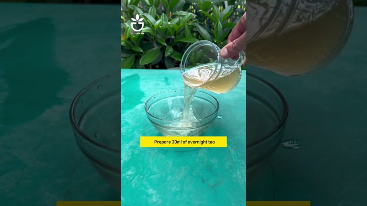 Good tips for plants #garden #namrose #gardening #rose #plants Good tips for plants #garden #namrose #gardening #rose #plants
