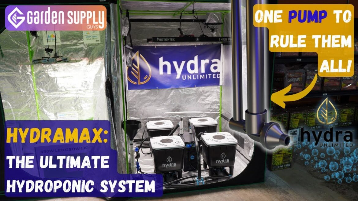 The Ultimate MEDIA-LESS Hydroponic System for Healthy MONSTER Roots! The Ultimate MEDIA-LESS Hydroponic System for Healthy MONSTER Roots!