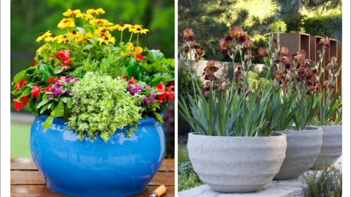 Ideas for small garden design | Small yard landscaping ideas