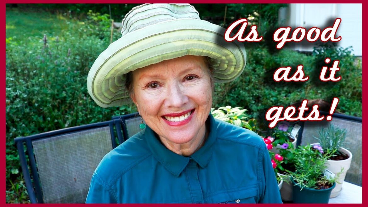 Kaye Kittrell: LUSH in spite of Storms! June Garden Update Part 1 LUSH in spite of Storms! June Garden Update Part 1