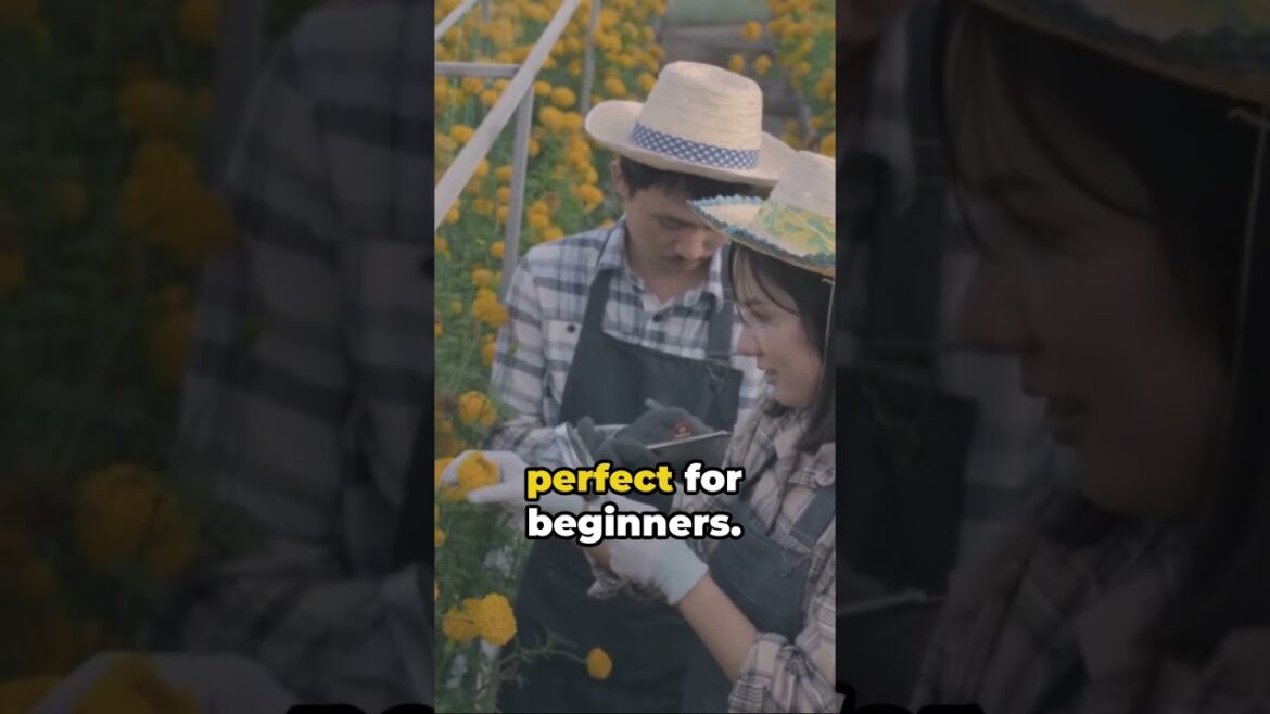 Green Thumb 101 - 3 Beginner Gardening Tips 🌱 #garden #gardening #shorts