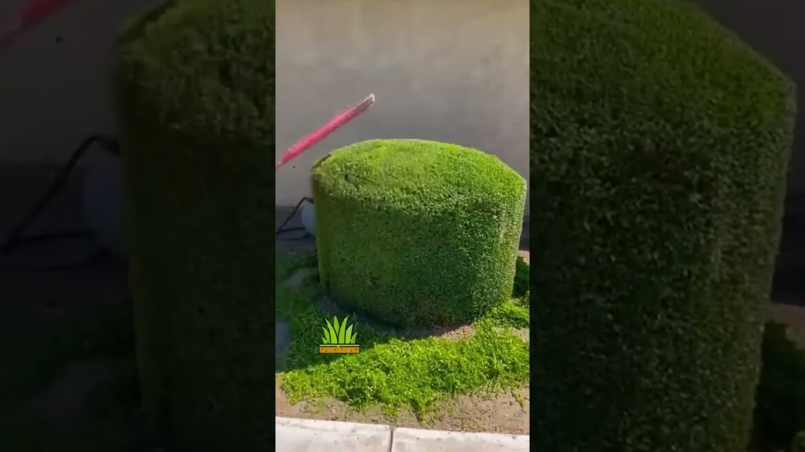 Relax and Enjoy the Work 🍀#6 | #gardening #satisfying #satisfyingvideos