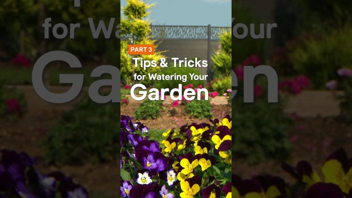 Become a gardening guru, Part 3: water efficiency tips 🚿🌻 #Gardeningtips #Howto #BandQ
