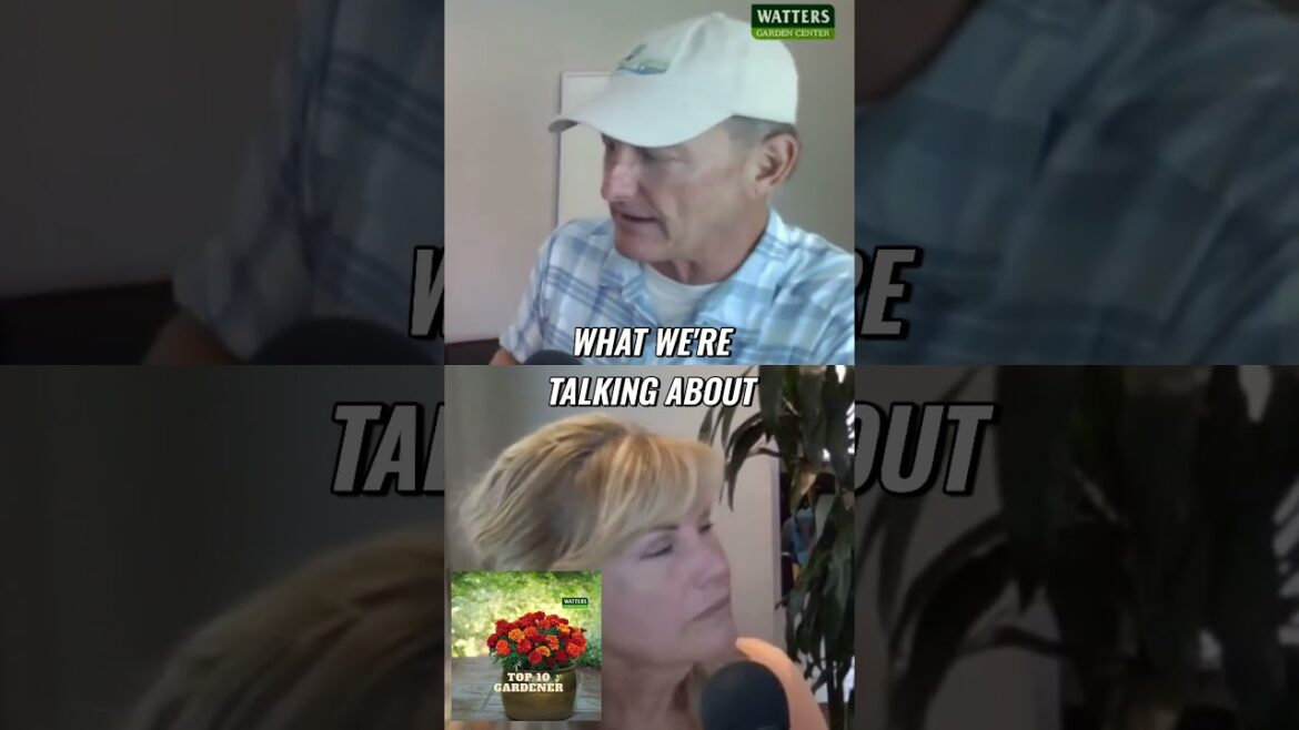 The Perfect Weekend!