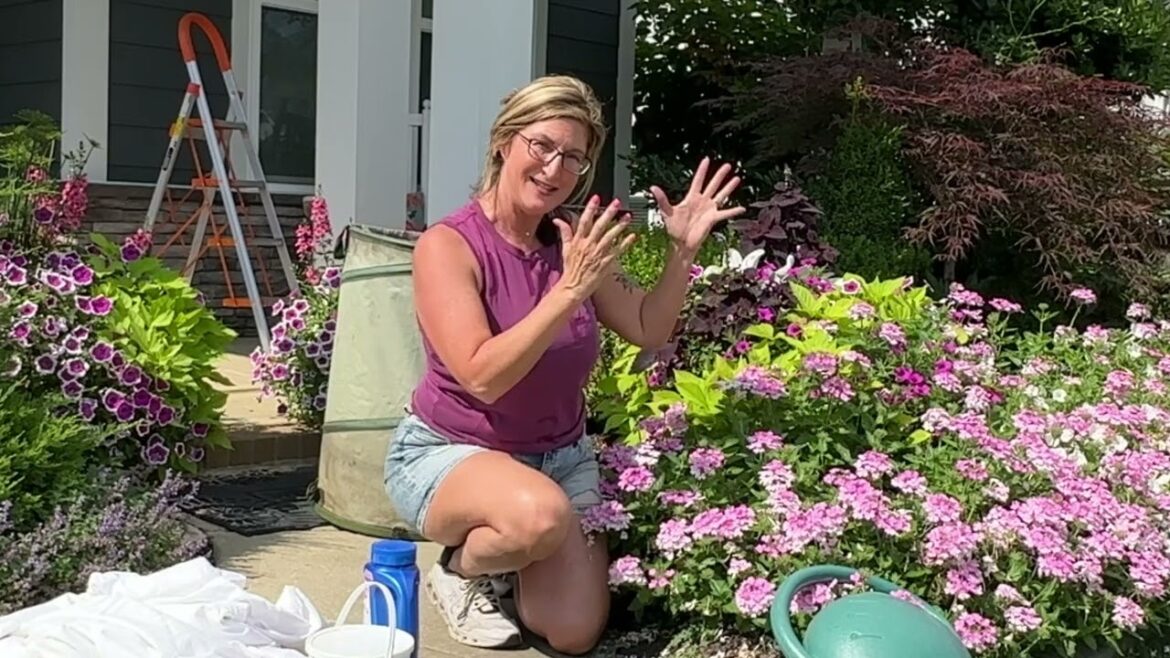 Front Yard Garden Landscape Pruning & Maintenance: Lawn So Green!!