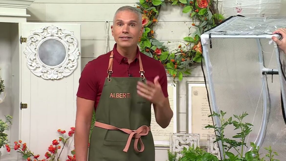 Vegepod Self-Watering Small Container Garden with Stand & Cover on QVC