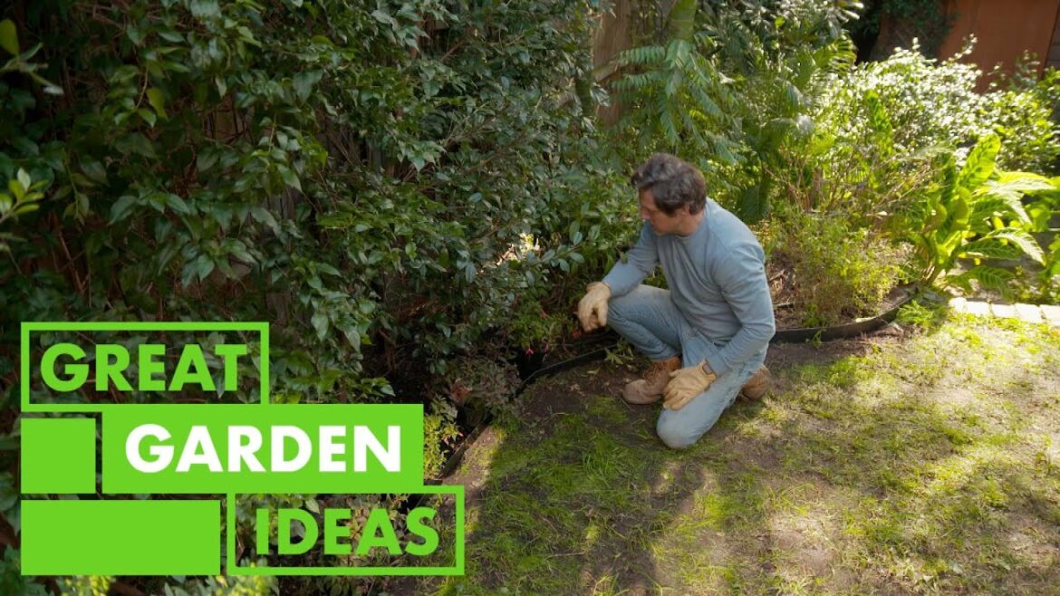 Spring Gardening Tips | GARDEN | Great Home Ideas Spring Gardening Tips | GARDEN | Great Home Ideas