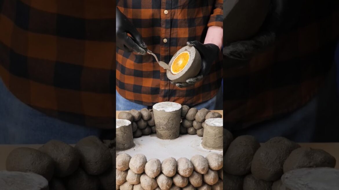 Creative Flower Pot Design to Try🌷🌸 It Will Look Great In Your Garden Or Balcony😎 #flowers #garden