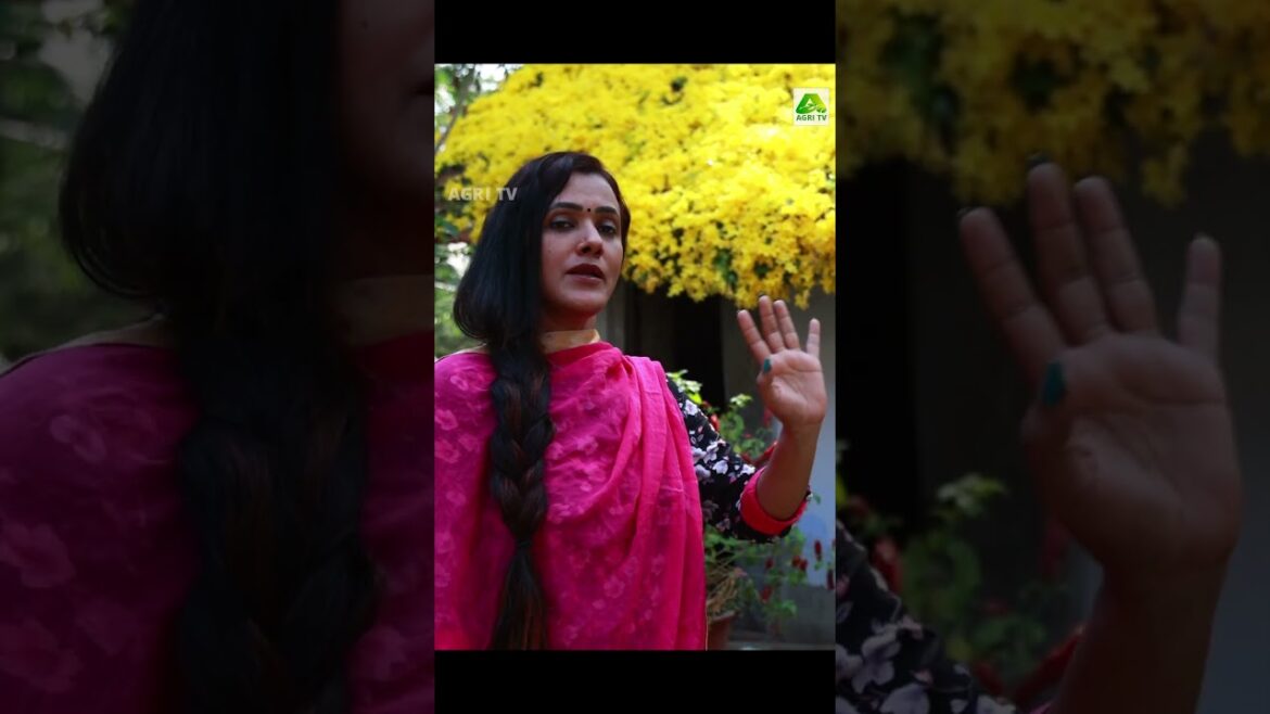 ഈ മഞ്ഞപ്പൂക്കൾ കണ്ടാൽ തന്നെ കൊതിയാവുന്നല്ലോ.. കൊല്ലത്തെ പൂക്കളാൽ മൂടിയ വീട് #garden #homegarden