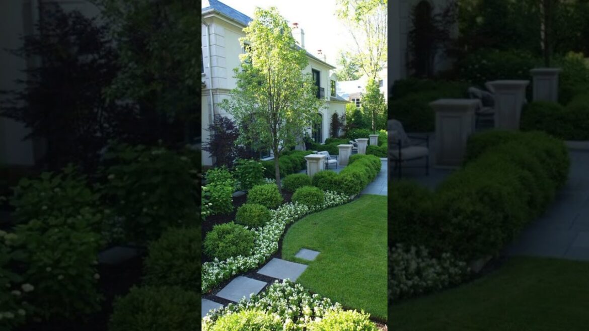 New Green Front yard landscaping design ideas