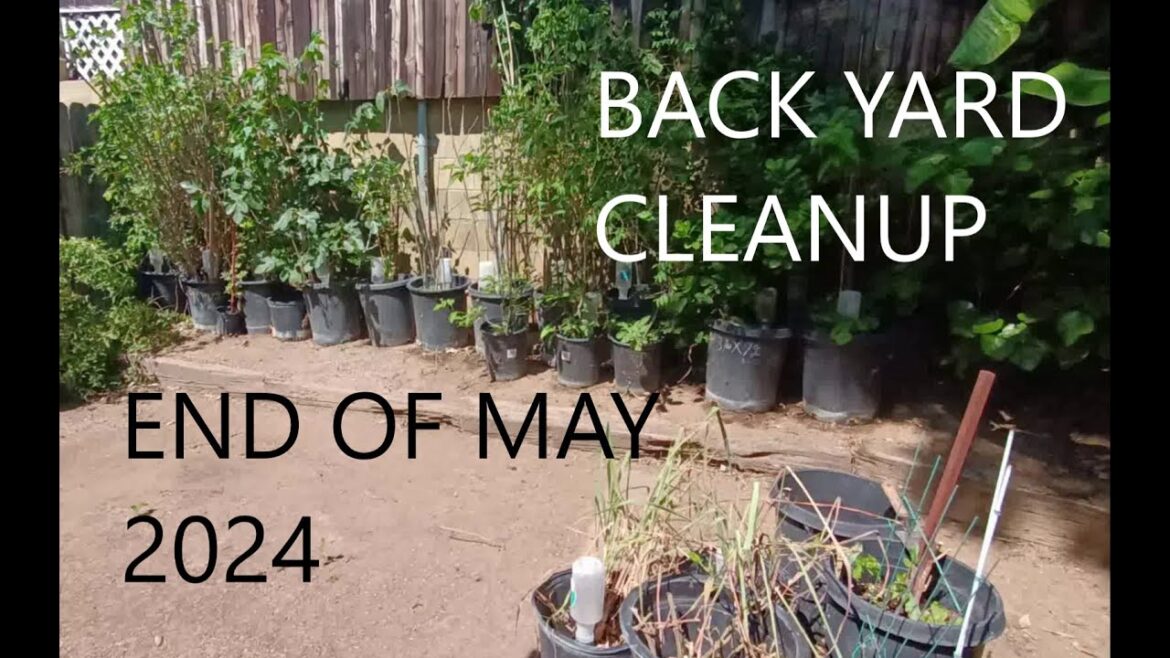 My Backyard Garden Cleanup End of May 2024
