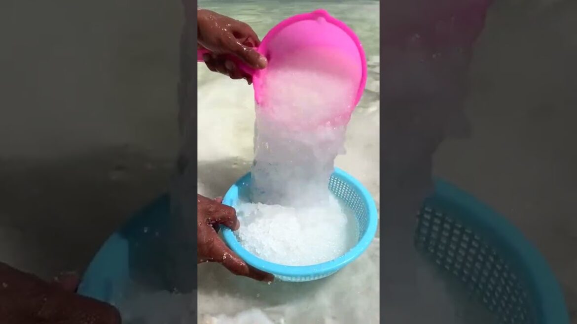 6629 🌻🍃🥑🌴🌶 #landwirtschaft #gardening #farminglife #farming #agriculture