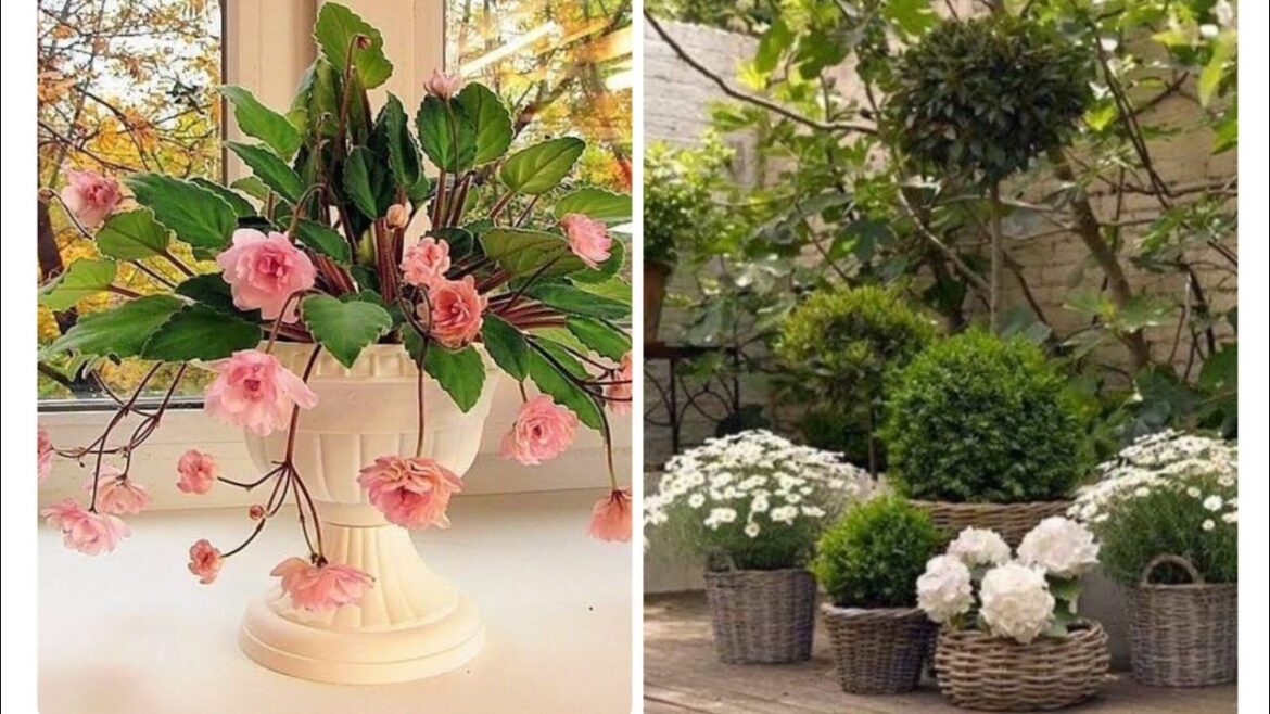 Ideas for small garden design | Small yard landscaping ideas