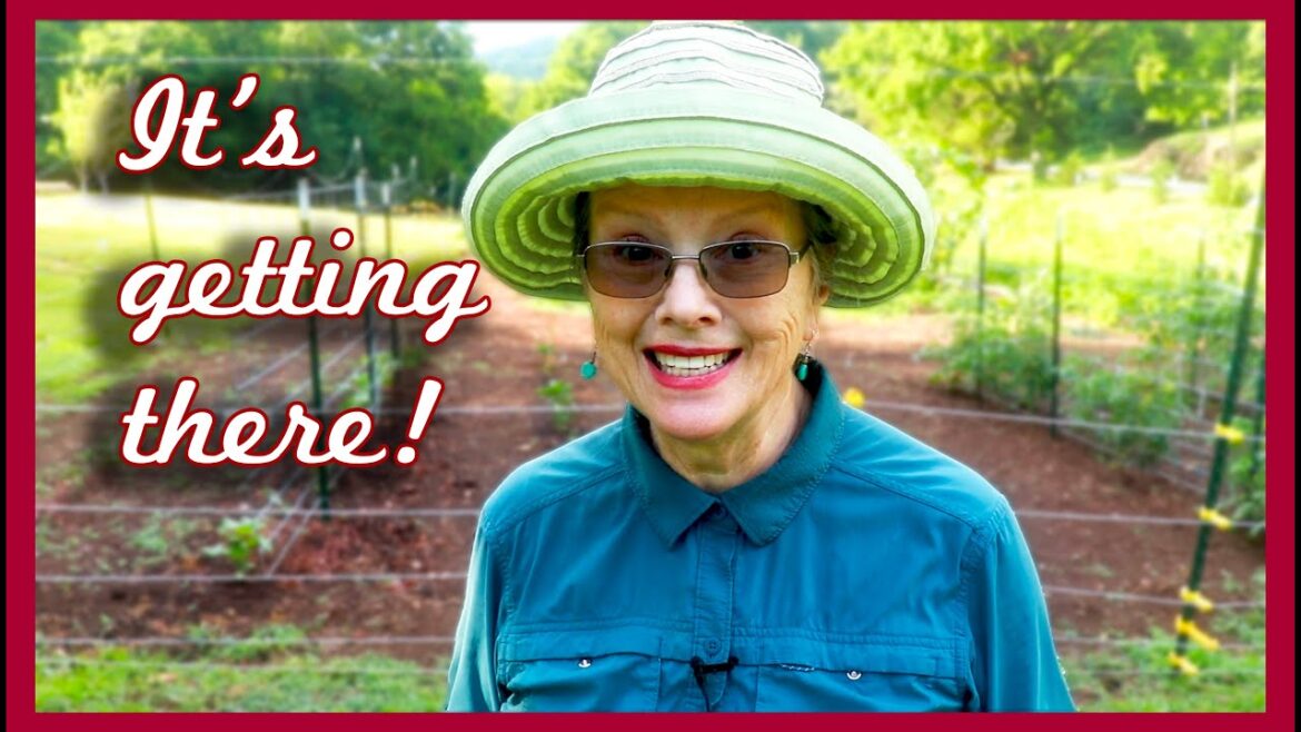 Building a garden takes time! June Update Part 2 of 3