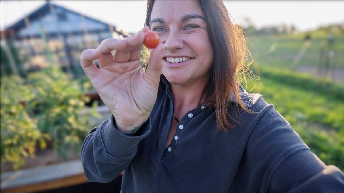 Snacking in the Golden Garden (& a Guinea Surprise!) | VLOG