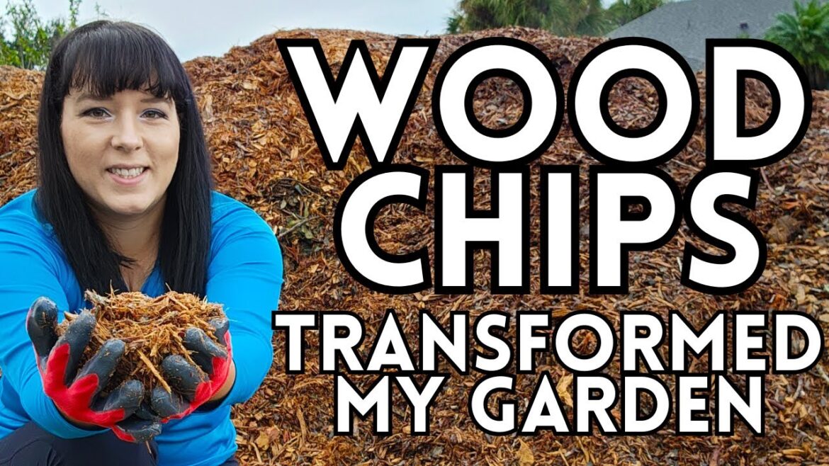 How To Use Wood Chips In The Garden & Build Healthy Soil #woodchips #garden #gardeningtips #plants How To Use Wood Chips In The Garden & Build Healthy Soil #woodchips #garden #gardeningtips #plants