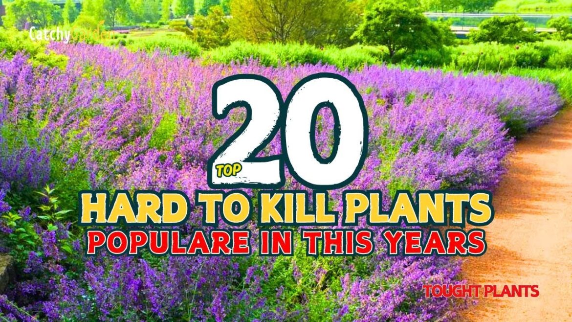 TOP 20 IMPOSSIBLE-TO-KILL PLANTS // Populare in This Years! πΊπΏπΌ // Gardening Ideas TOP 20 IMPOSSIBLE-TO-KILL PLANTS // Populare in This Years! πΊπΏπΌ // Gardening Ideas