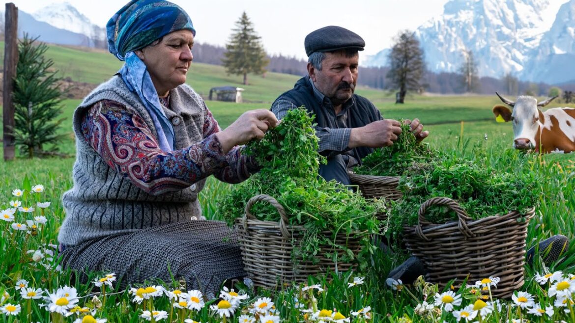 Wild Edible Herb Harvest & Cooking Flatbread: 🌿 Foraging & Cooking in Nature! Wild Edible Herb Harvest & Cooking Flatbread: 🌿 Foraging & Cooking in Nature!