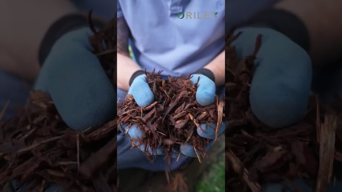 Transform Your Garden with Brown Wooden Mulch Tips & Benefits #GardenTips #MulchMagic #MulchBenefits