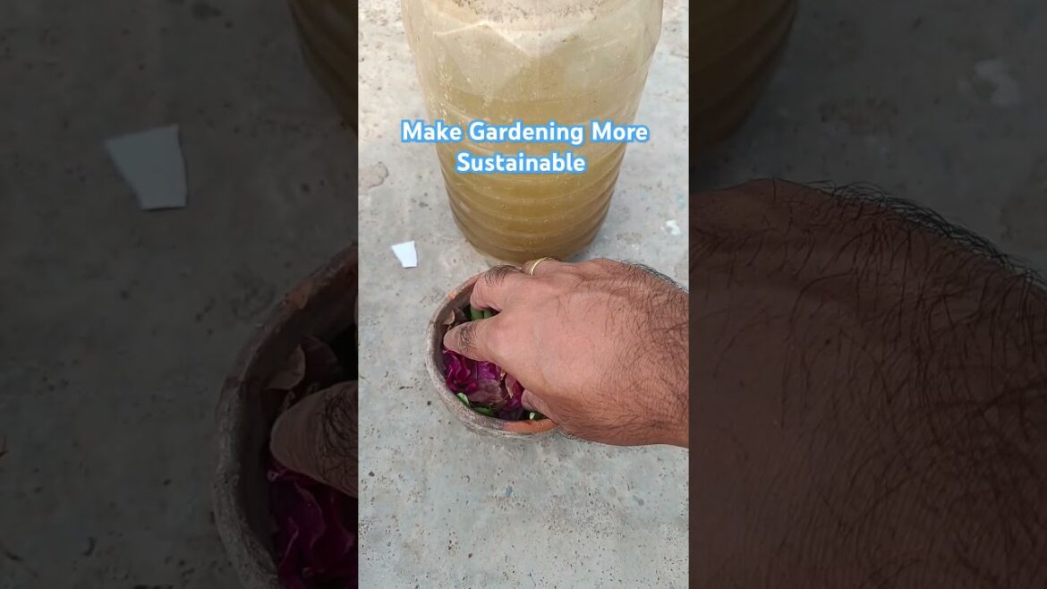 Gardening Hacks #gardening #plants #gardeninghacks #youtubeshorts