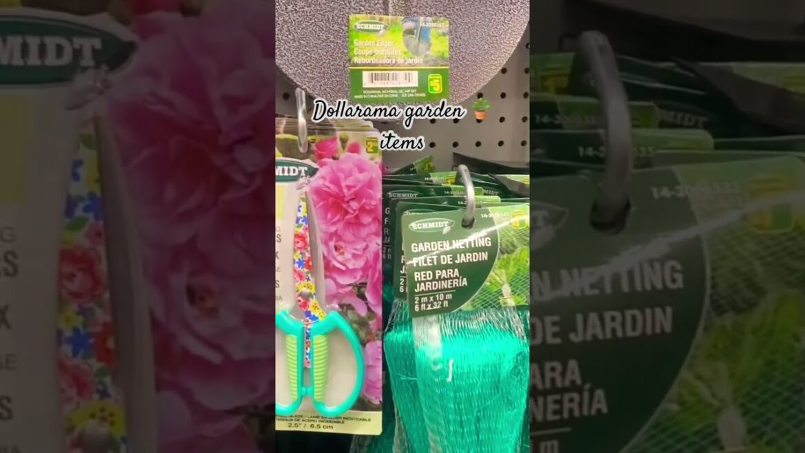 Garden tools and gardening supplies at dollarama #foryou #gardendesign #garden #ytshorts Garden tools and gardening supplies at dollarama #foryou #gardendesign #garden #ytshorts